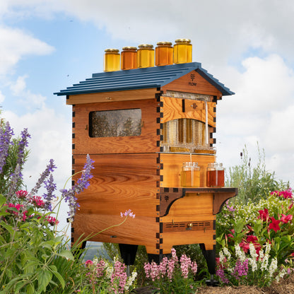 Hive