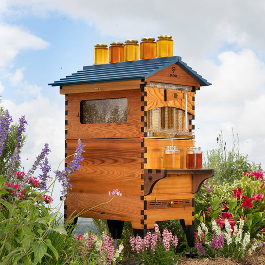 Hive