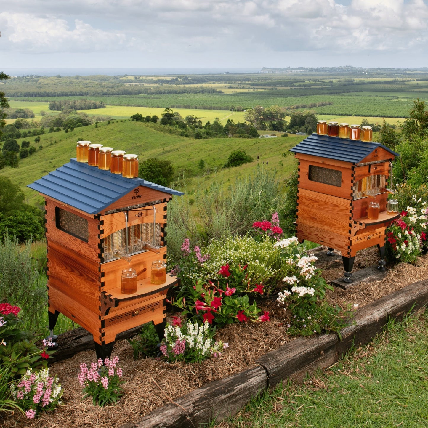 Hive
