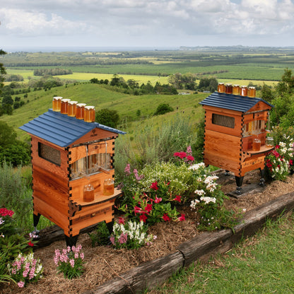 Hive