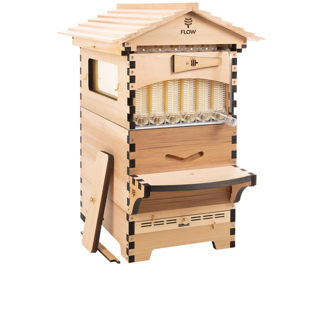 Hive