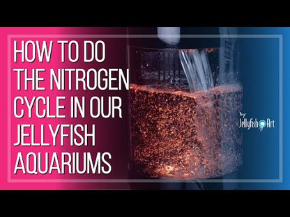 Jellyfish Aquarium