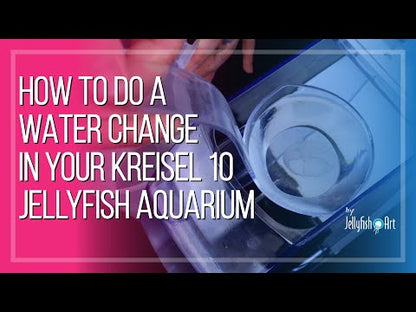 Jellyfish Aquarium